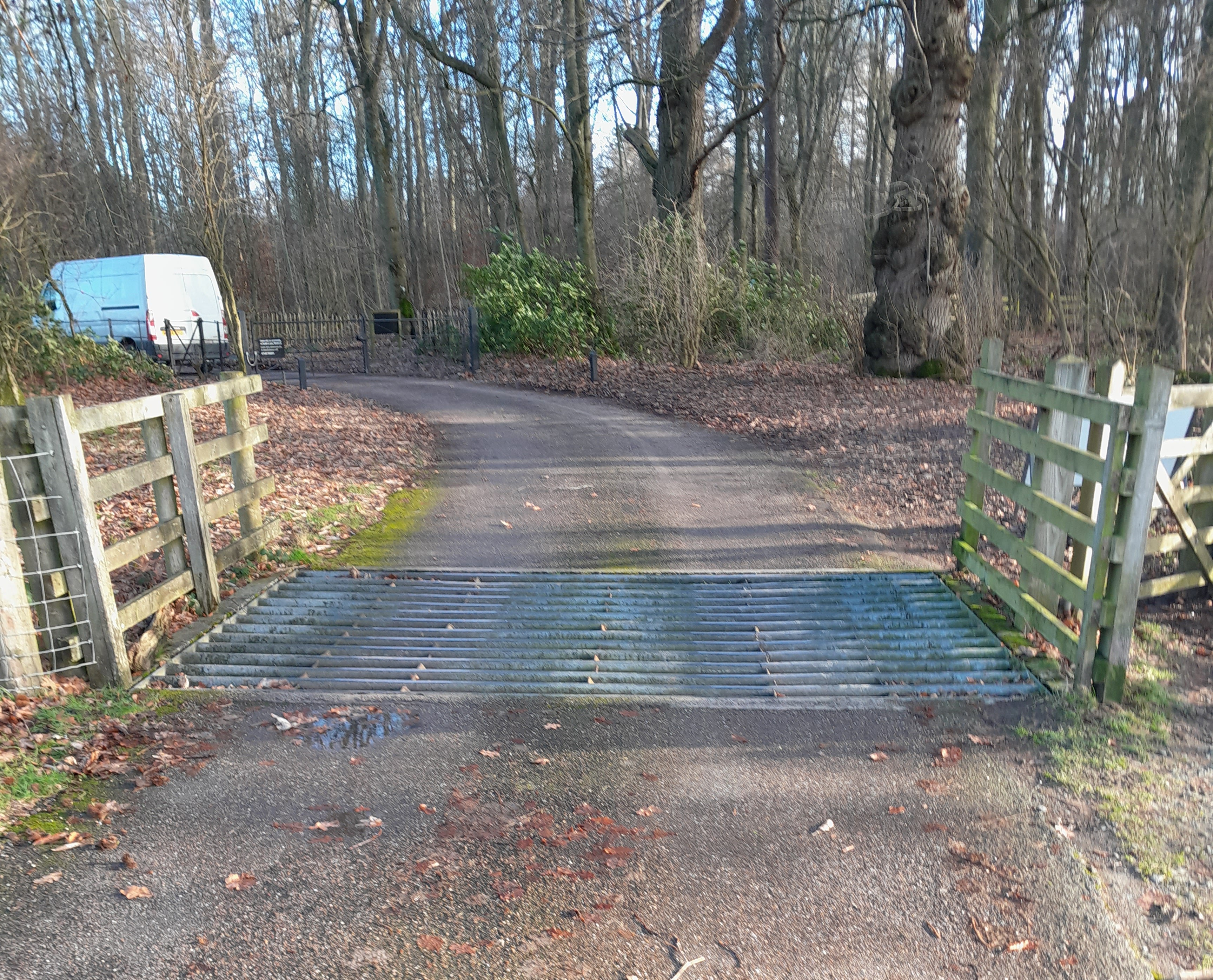 Existing cattle grid overview before replacement
