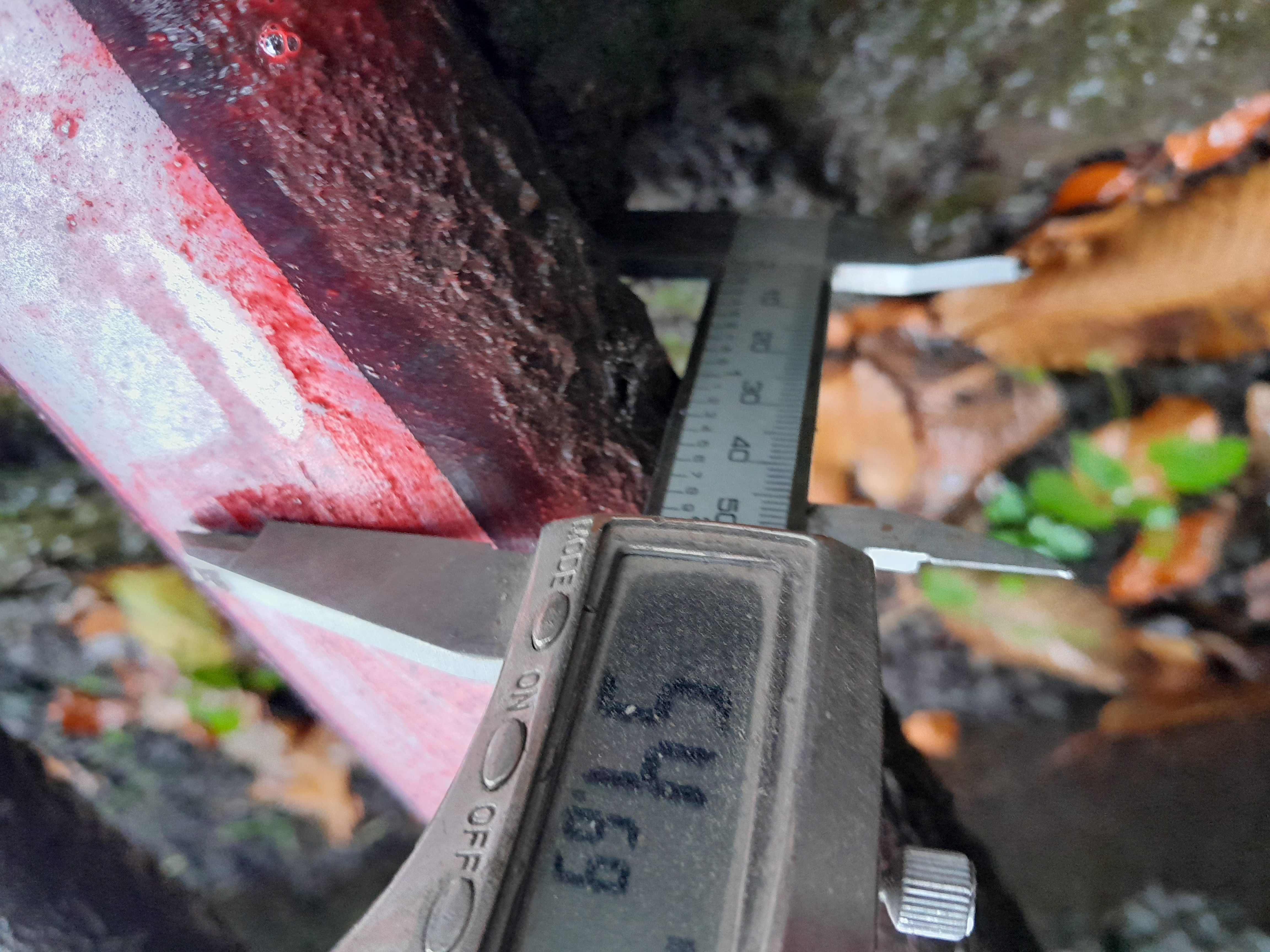 Measured cattle grid section detail